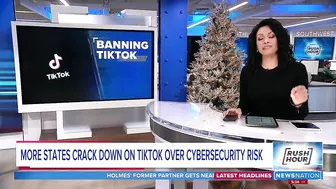 More states crack down on TikTok over cybersecurity risk | Rush Hour