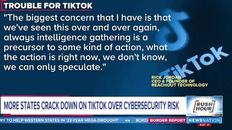 More states crack down on TikTok over cybersecurity risk | Rush Hour