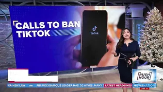 More states crack down on TikTok over cybersecurity risk | Rush Hour