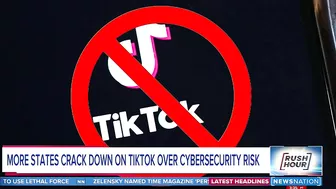 More states crack down on TikTok over cybersecurity risk | Rush Hour