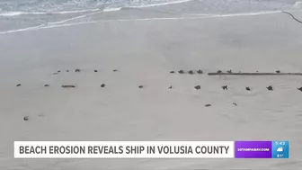 Beach erosion brought by hurricanes Ian, Nicole uncovers wooden ship from 1800s