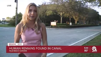 Remains of woman found in Palm Beach Gardens canal