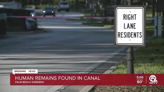 Remains of woman found in Palm Beach Gardens canal