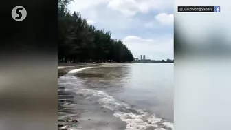 Croc spotted at KK's popular Likas Bay beach