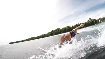 BIKINI GIRLS with SURFBOARDS - Danny B. Harvey