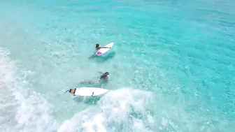 BIKINI GIRLS with SURFBOARDS - Danny B. Harvey