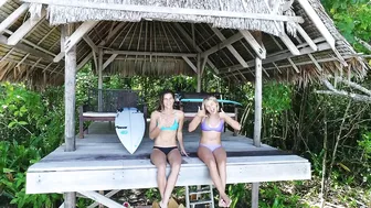 BIKINI GIRLS with SURFBOARDS - Danny B. Harvey