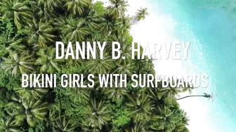 BIKINI GIRLS with SURFBOARDS - Danny B. Harvey