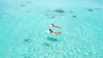 BIKINI GIRLS with SURFBOARDS - Danny B. Harvey