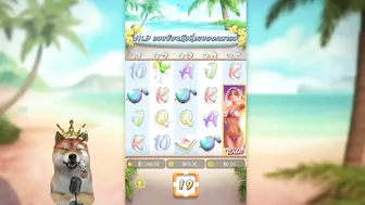 #QQ101 : สล็อตPG Bikini Paradise ดอกนี้เต็มๆ