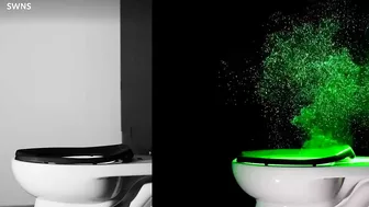 Video shows how far germs travel when flushing toilet