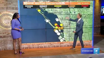 Heading to the beach this weekend? Check out the latest red tide forecast in Tampa Bay region