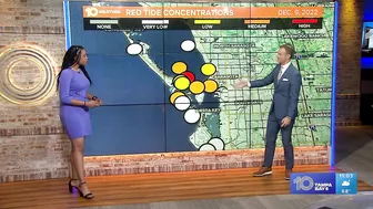 Heading to the beach this weekend? Check out the latest red tide forecast in Tampa Bay region