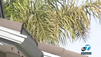 Arrows randomly being fired into air, hitting Huntington Beach homes