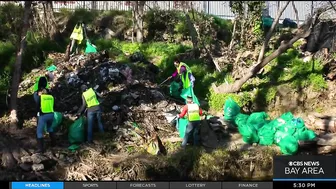 Chinook salmon return to urban stream in the South Bay