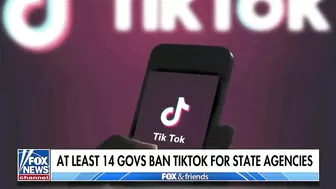 Joe Rogan says TikTok should be illegal: 'It's Chinese spyware'