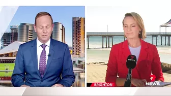 Swimmers evacuate as three-metre shark spotted at popular Brighton Beach | 7NEWS