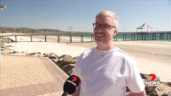 Swimmers evacuate as three-metre shark spotted at popular Brighton Beach | 7NEWS