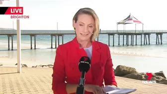 Swimmers evacuate as three-metre shark spotted at popular Brighton Beach | 7NEWS