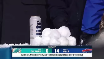 Dolphins-Bills game briefly delayed due to snowballs being thrown on the field