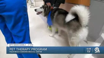 Pet therapy helps patients at Palm Beach Gardens Medical Center