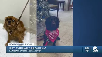 Pet therapy helps patients at Palm Beach Gardens Medical Center