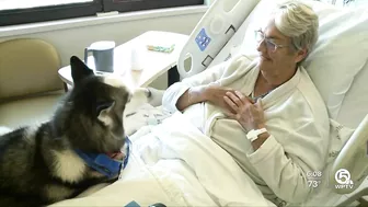 Pet therapy helps patients at Palm Beach Gardens Medical Center