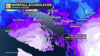 Tricky Travel for B.C.'s South Coast With Over 20 cm of Snow