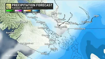 Tricky Travel for B.C.'s South Coast With Over 20 cm of Snow