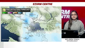 Tricky Travel for B.C.'s South Coast With Over 20 cm of Snow