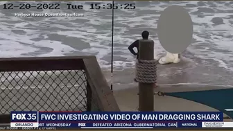 Witness recounts watching man beat shark with hammer on Florida beach