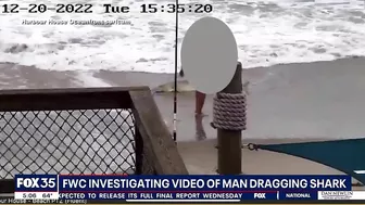 Witness recounts watching man beat shark with hammer on Florida beach