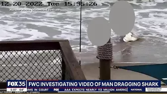 Witness recounts watching man beat shark with hammer on Florida beach