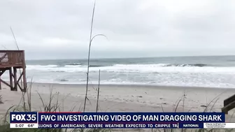 Witness recounts watching man beat shark with hammer on Florida beach