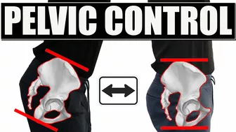 PELVIC CONTROL EXERCISES l BEST Exercises & Stretches for Back Pain