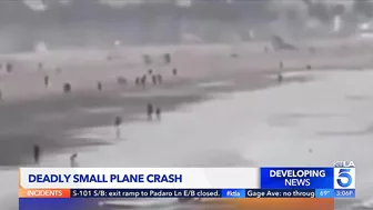 Former mayor confirmed dead in plane crash on Santa Monica beach