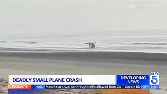 Former mayor confirmed dead in plane crash on Santa Monica beach