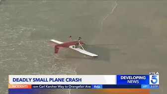 Former mayor confirmed dead in plane crash on Santa Monica beach