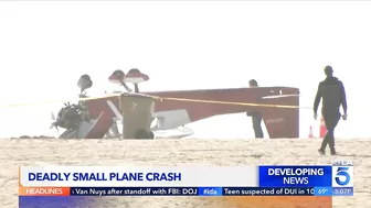 Former mayor confirmed dead in plane crash on Santa Monica beach