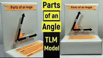 Parts of an angle maths tlm model | Parts of angle | TLM working model | B.Ed teaching & learning