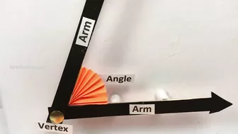 Parts of an angle maths tlm model | Parts of angle | TLM working model | B.Ed teaching & learning