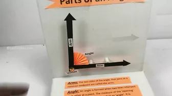 Parts of an angle maths tlm model | Parts of angle | TLM working model | B.Ed teaching & learning