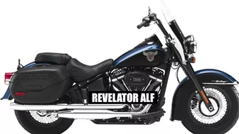 Harley Davidson 120th Anniversary Models Revealed | H-D 2023 Bikes