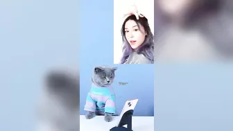 Merry Christmas! Funny Videos Boost Your Mood ????✨| Oscar‘s Funny World | Cute And Funny Cat TikTok