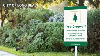 Tree recycling offered at 12 Long Beach locations