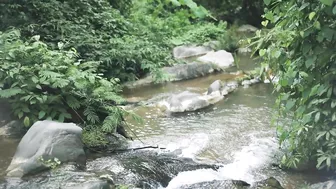 Fah "to Be Free" Bikini Poolwear waterfall lookbook