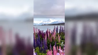 Most Beautiful Places Tik Tok Compilation 2022