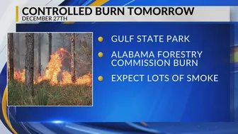 Controlled 90-acre burn at Gulf State Park Tuesday: Orange Beach Fire