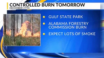 Controlled 90-acre burn at Gulf State Park Tuesday: Orange Beach Fire