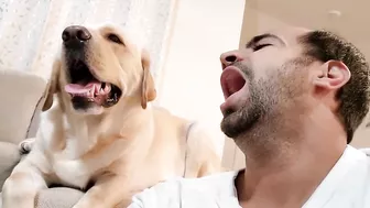 My Dog Yawns Every Time I Yawn | Part 4 | Funny Dog Video